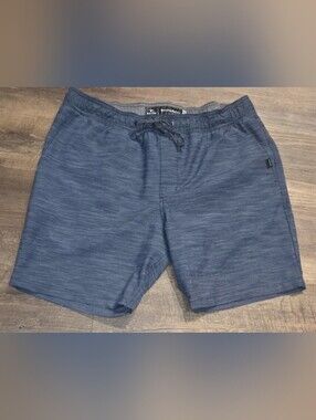 Rip Curl Men's Blue Heather Swim Board Shorts